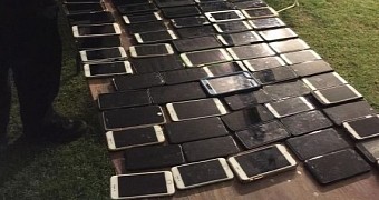 Apple s find my iphone app helped police find 100 stolen iphones at coachella