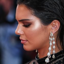 Kendall jenner earrings