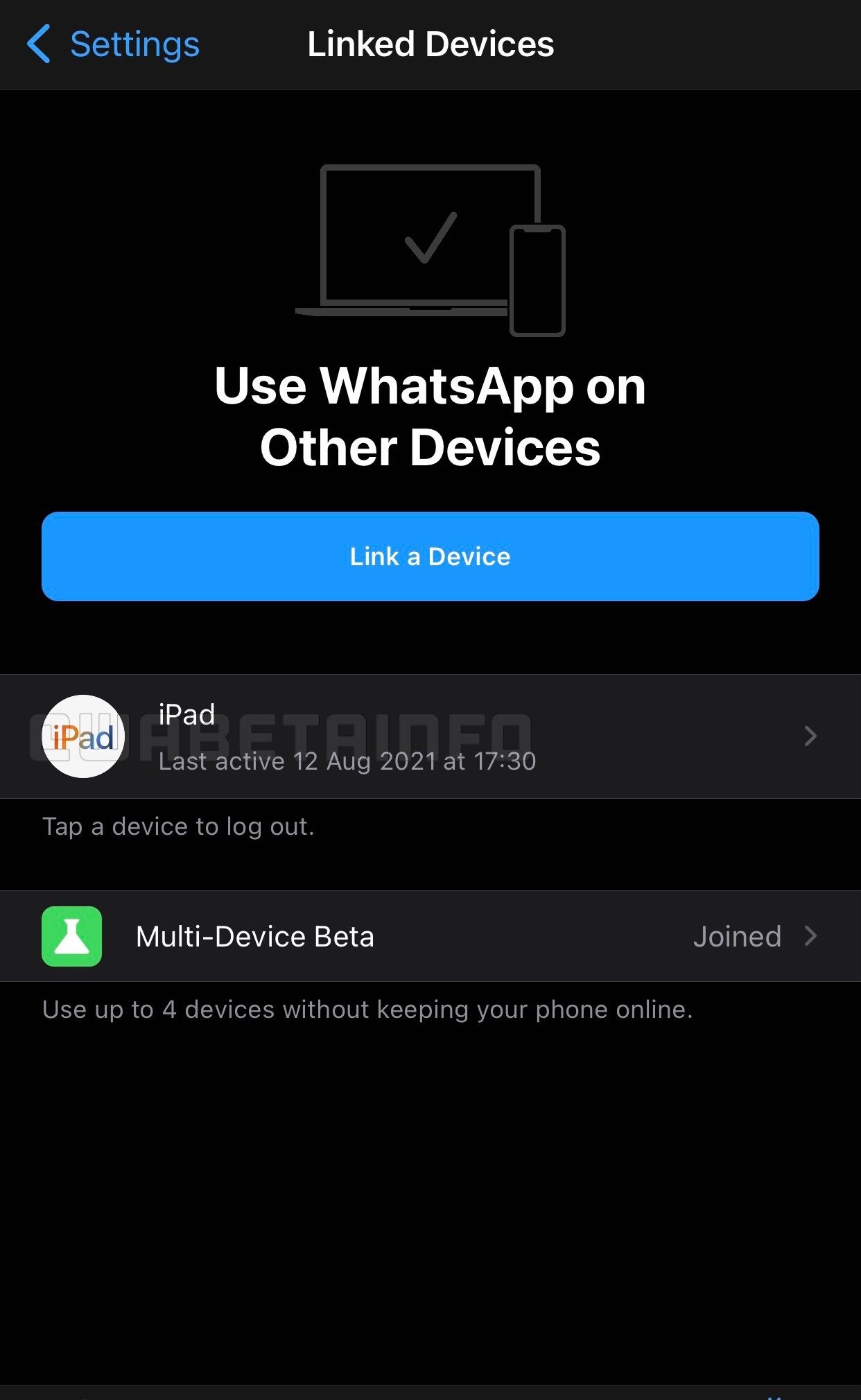 Whatsapp working on ipad version of the app 533841 2