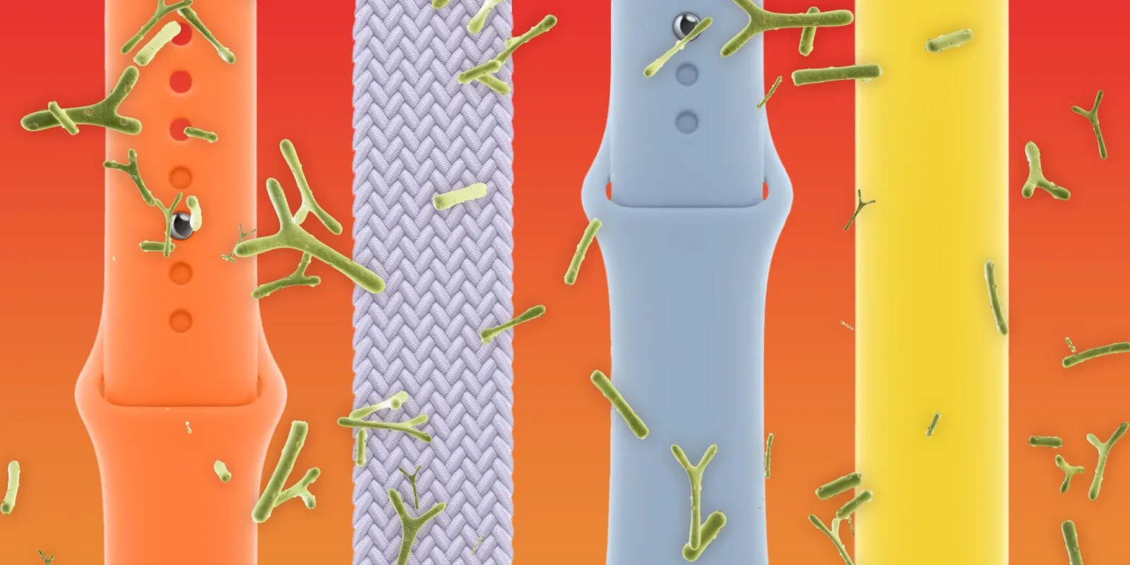 Your apple watch band is likely covered in bacteria new.webp